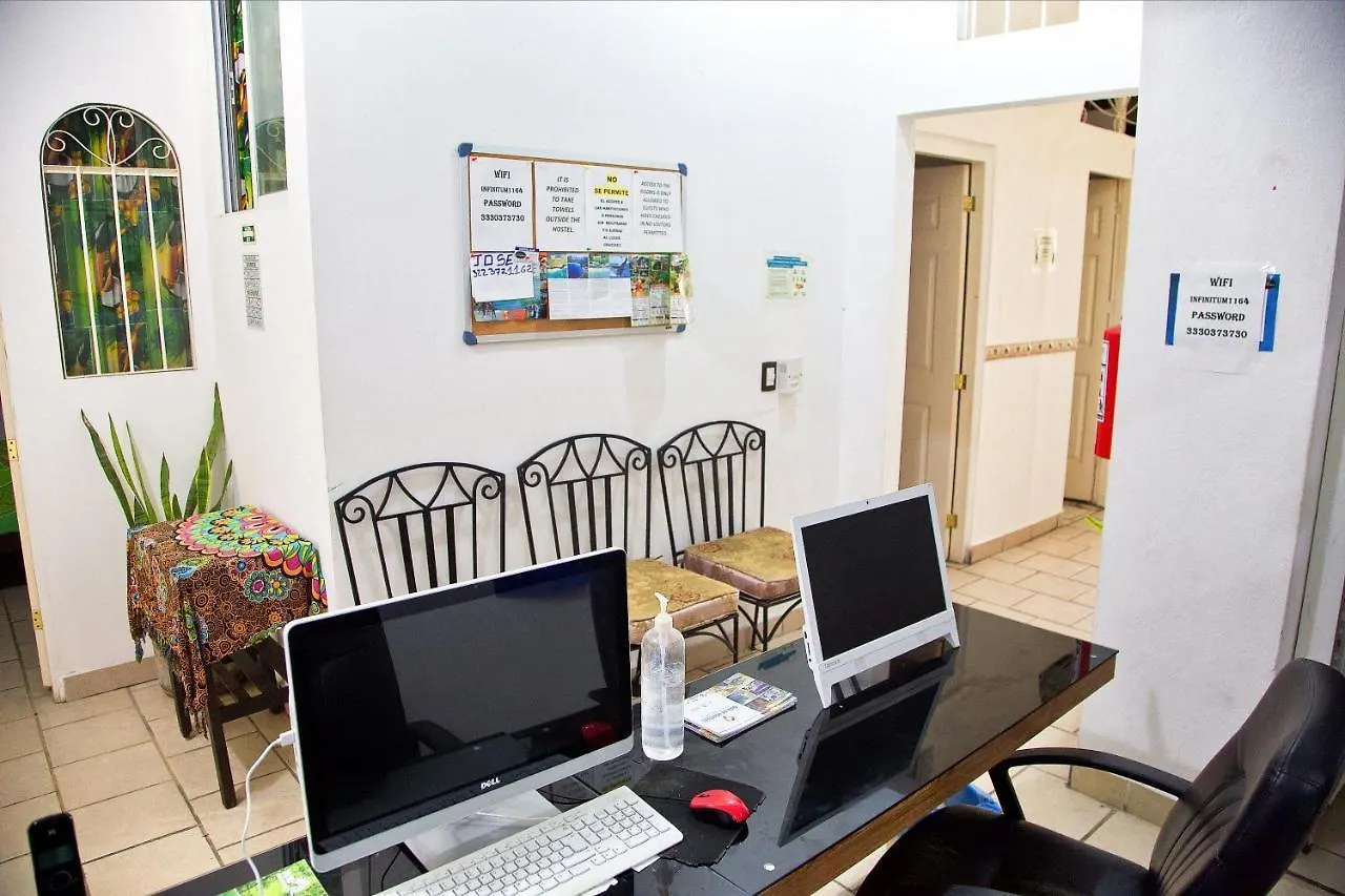 Alexandross Hostel Puerto Vallarta Meksyk